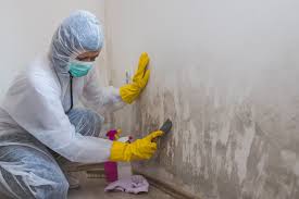 Asbestos and Lead Testing During Mold Inspection in Anchorage, KY